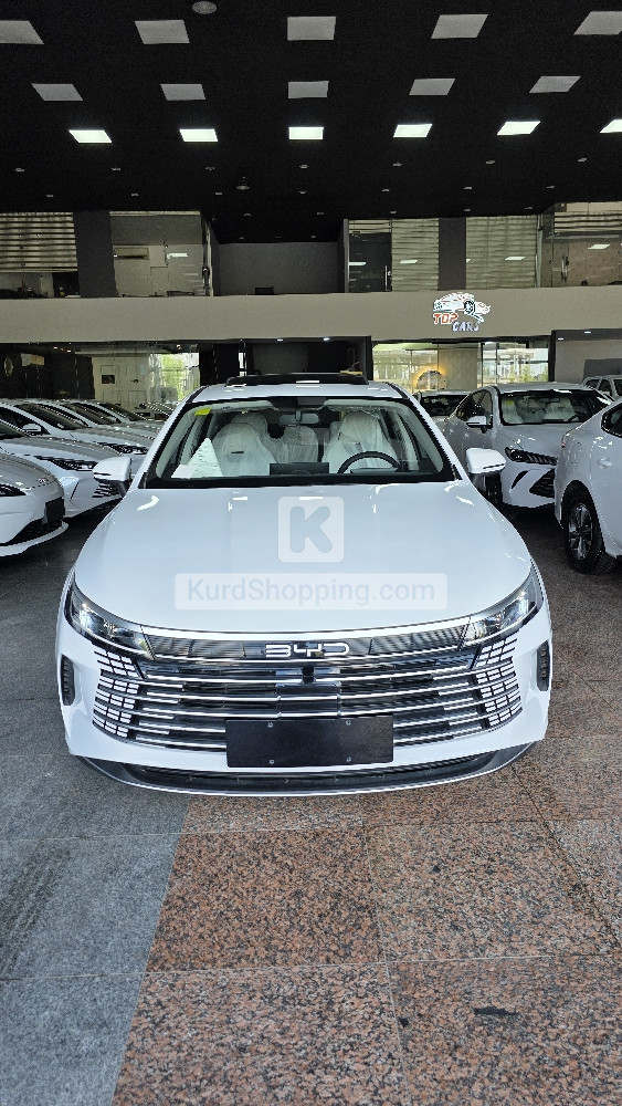 BYD DESTROYER 05 2025