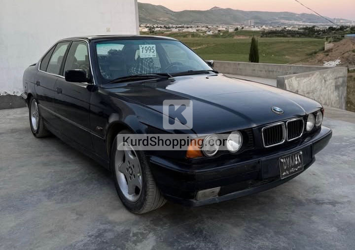 BMW 5 Series 1995