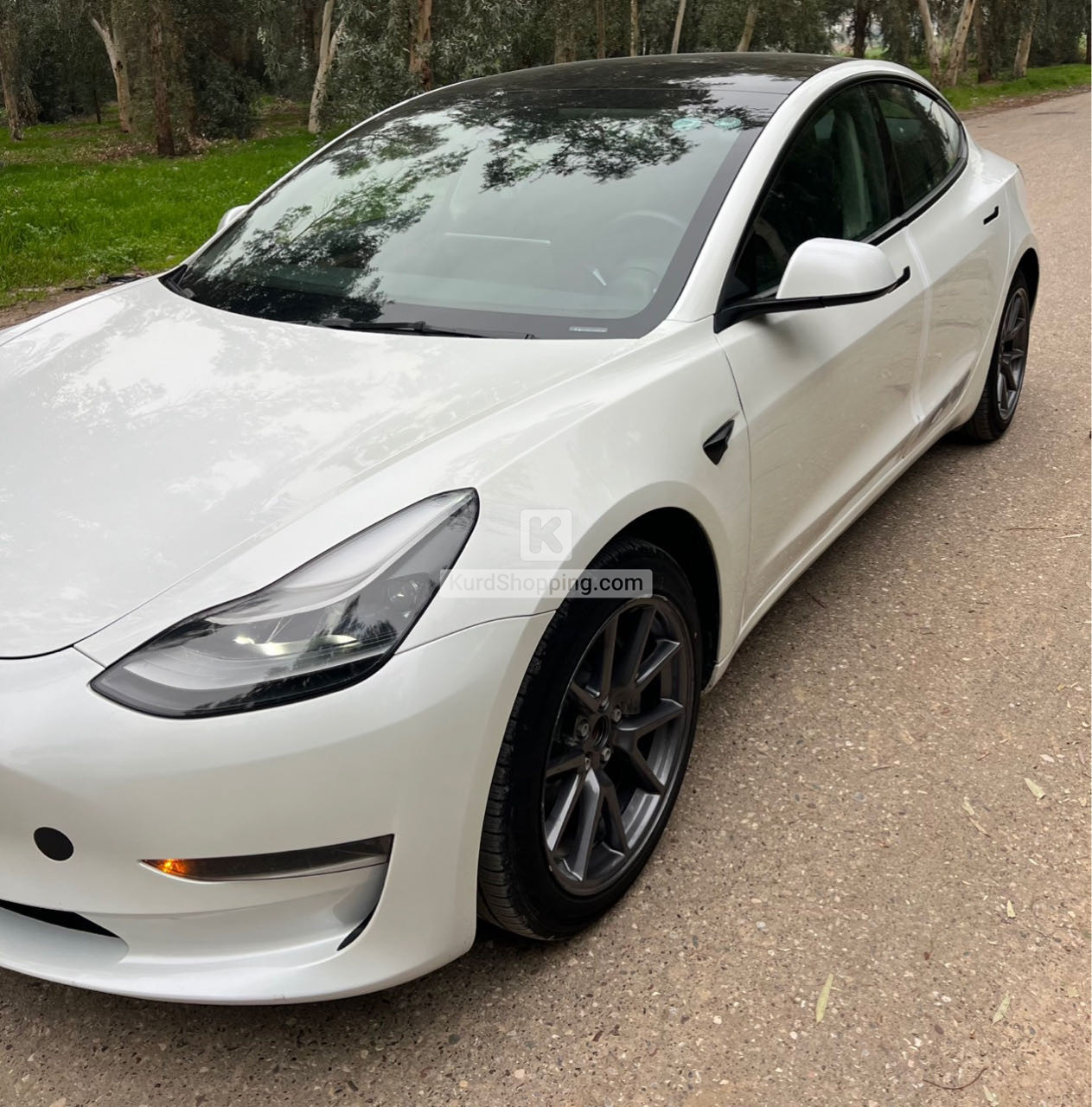 Tesla Model 3 2023