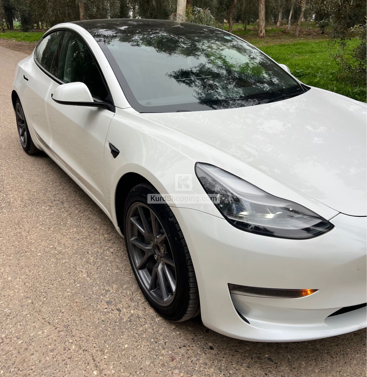 Tesla Model 3 2023