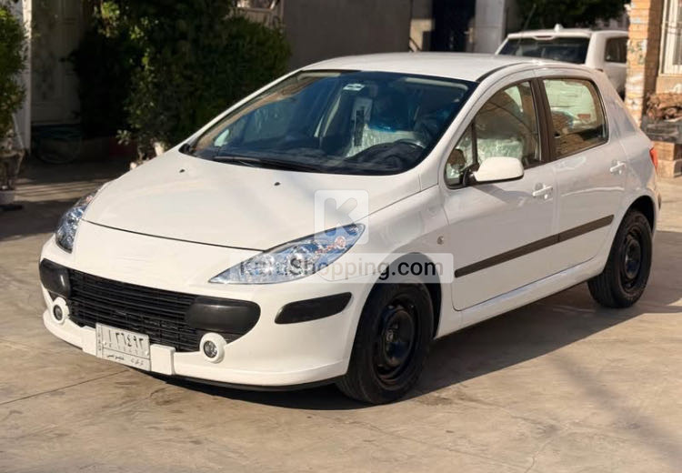 Peugeot 307 2006