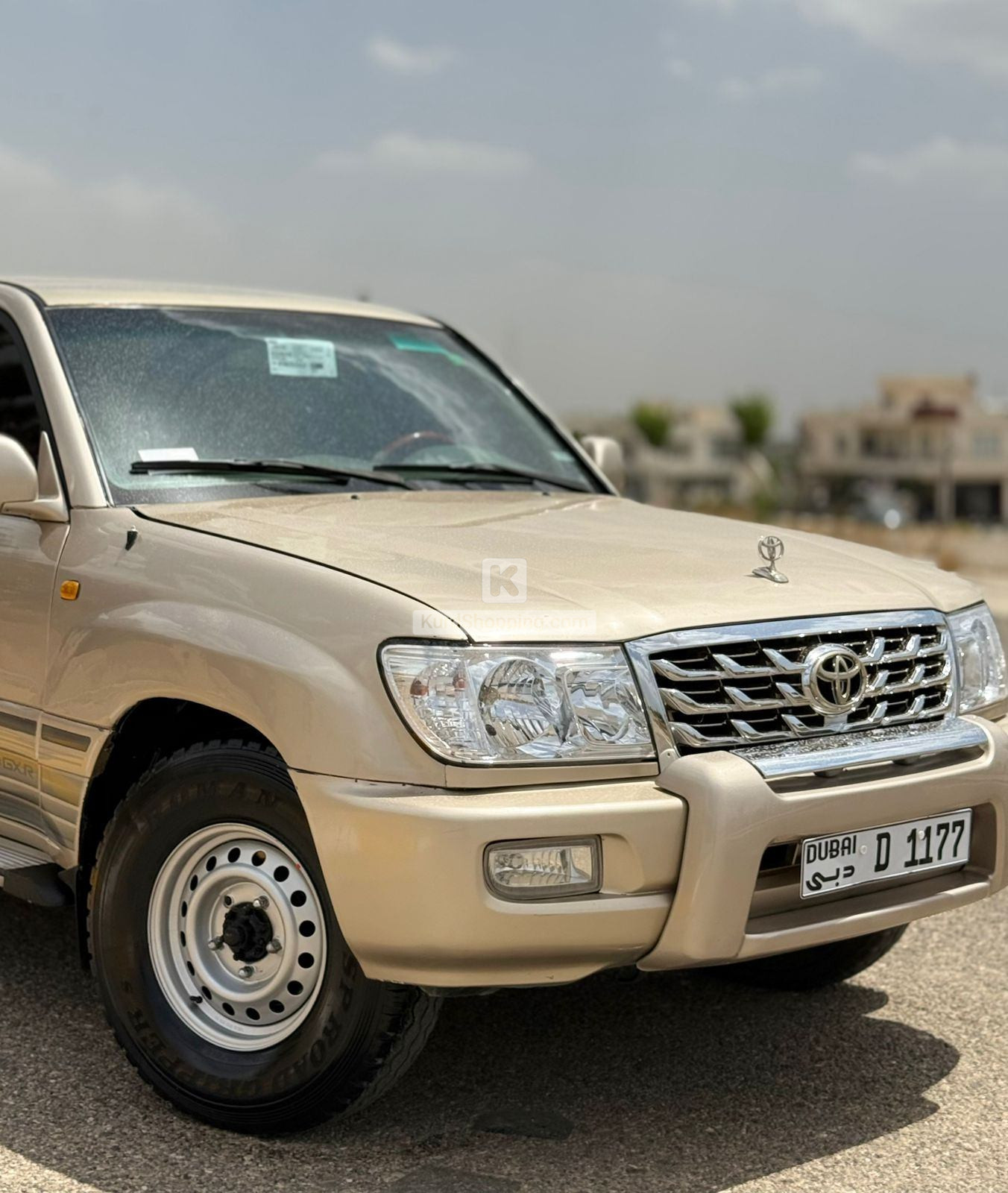 مونيكا ٢٠٠٥