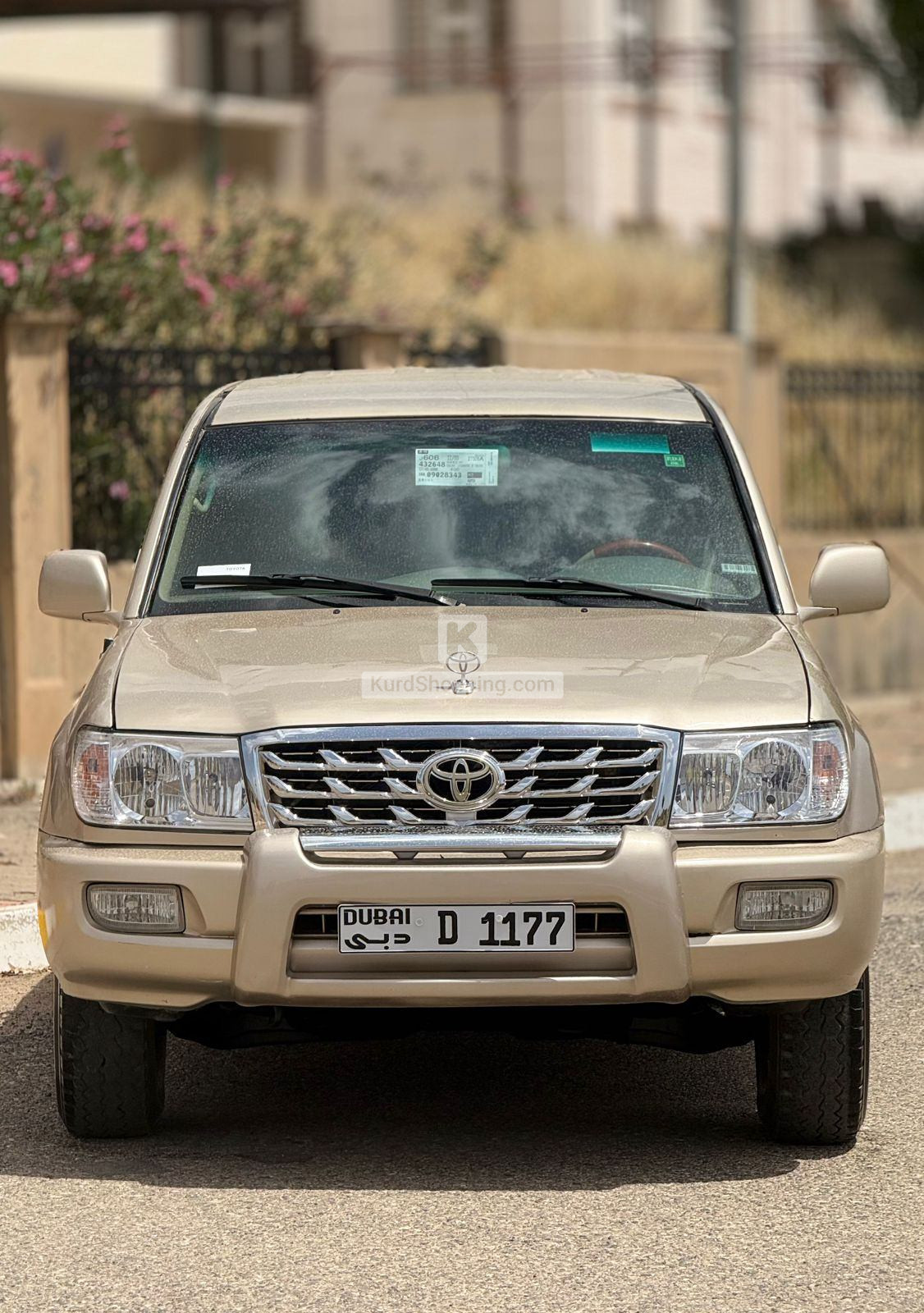 مونيكا ٢٠٠٥