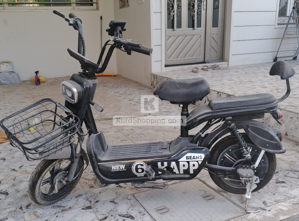 پاسکیلی شەحنی 14