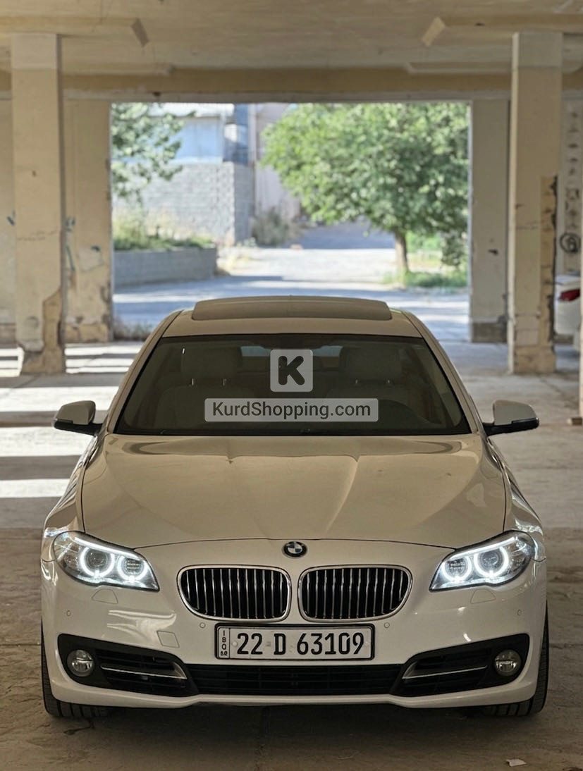 BMW 5 Series 2014