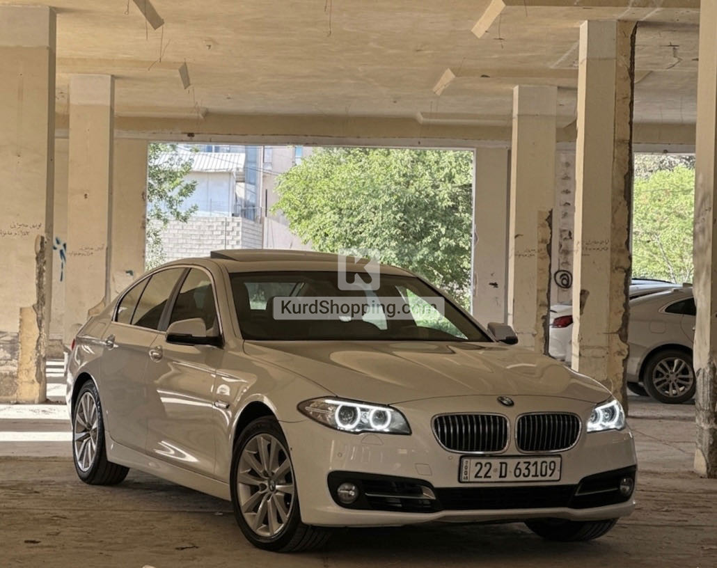 BMW 5 Series 2014
