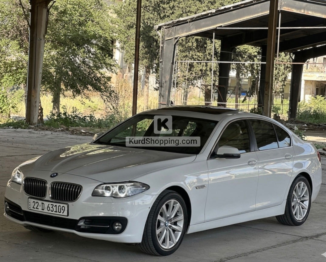 BMW 5 Series 2014