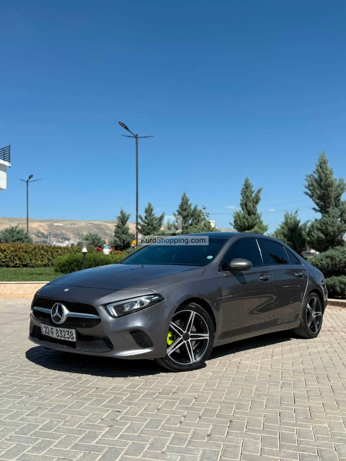 Mercedes Benz 220 2021