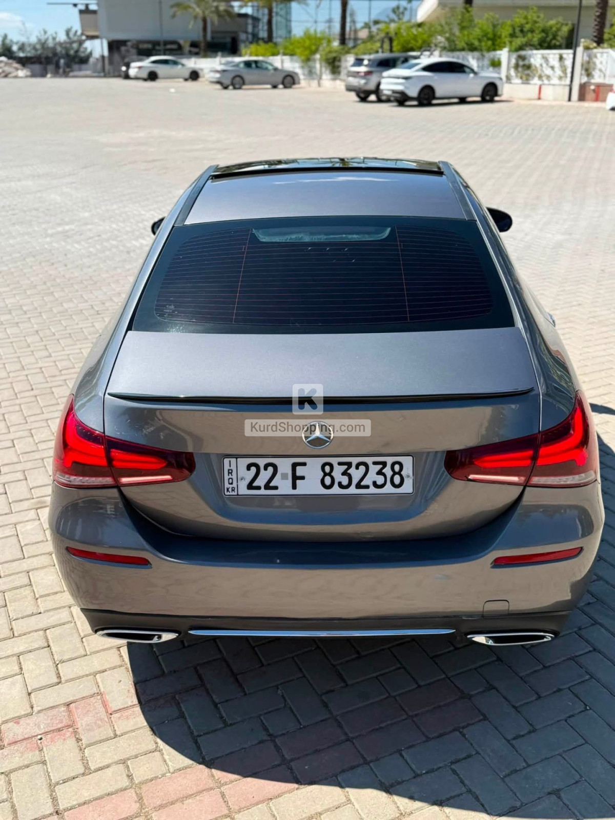 Mercedes Benz 220 2021