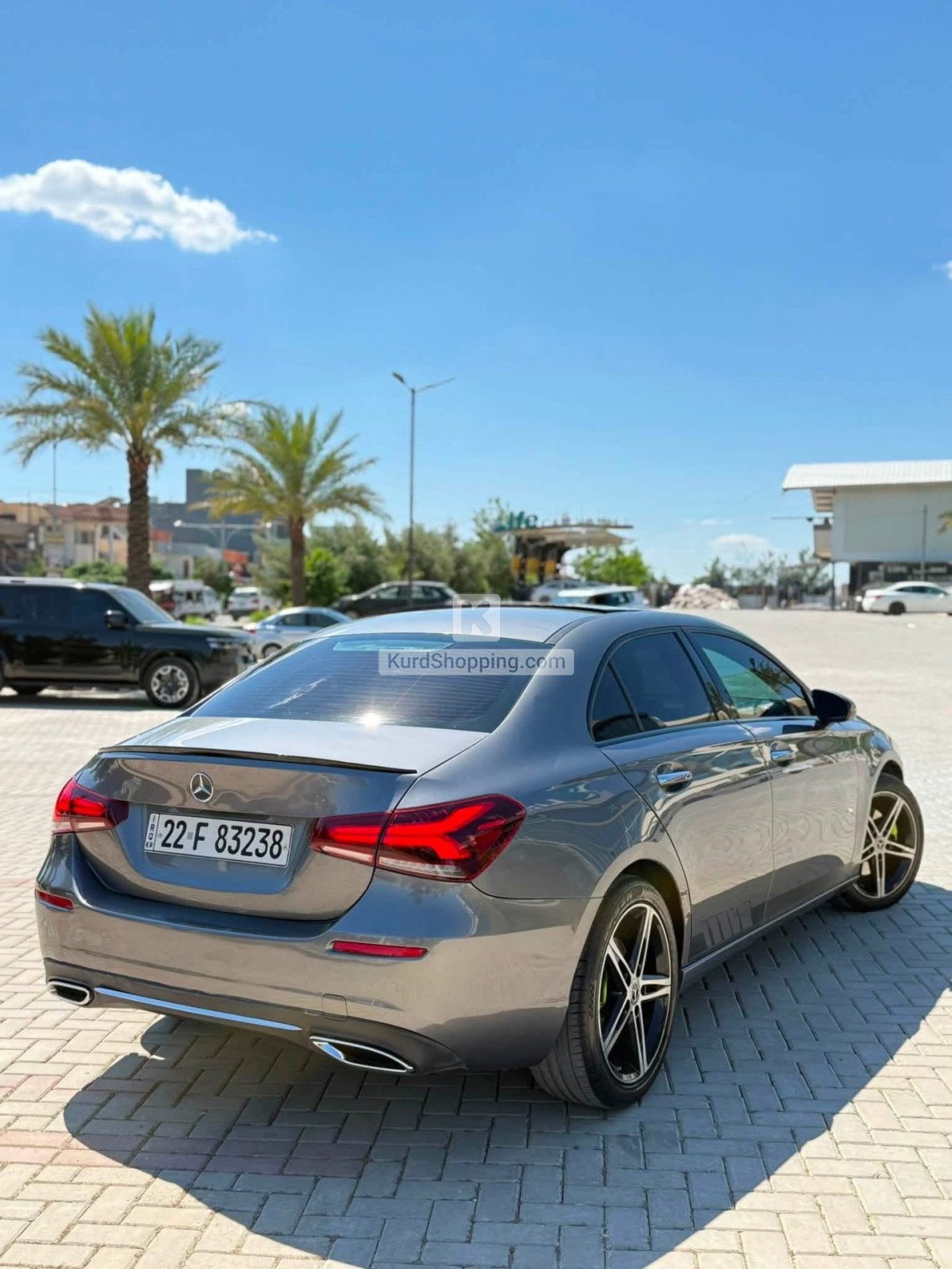 Mercedes Benz 220 2021