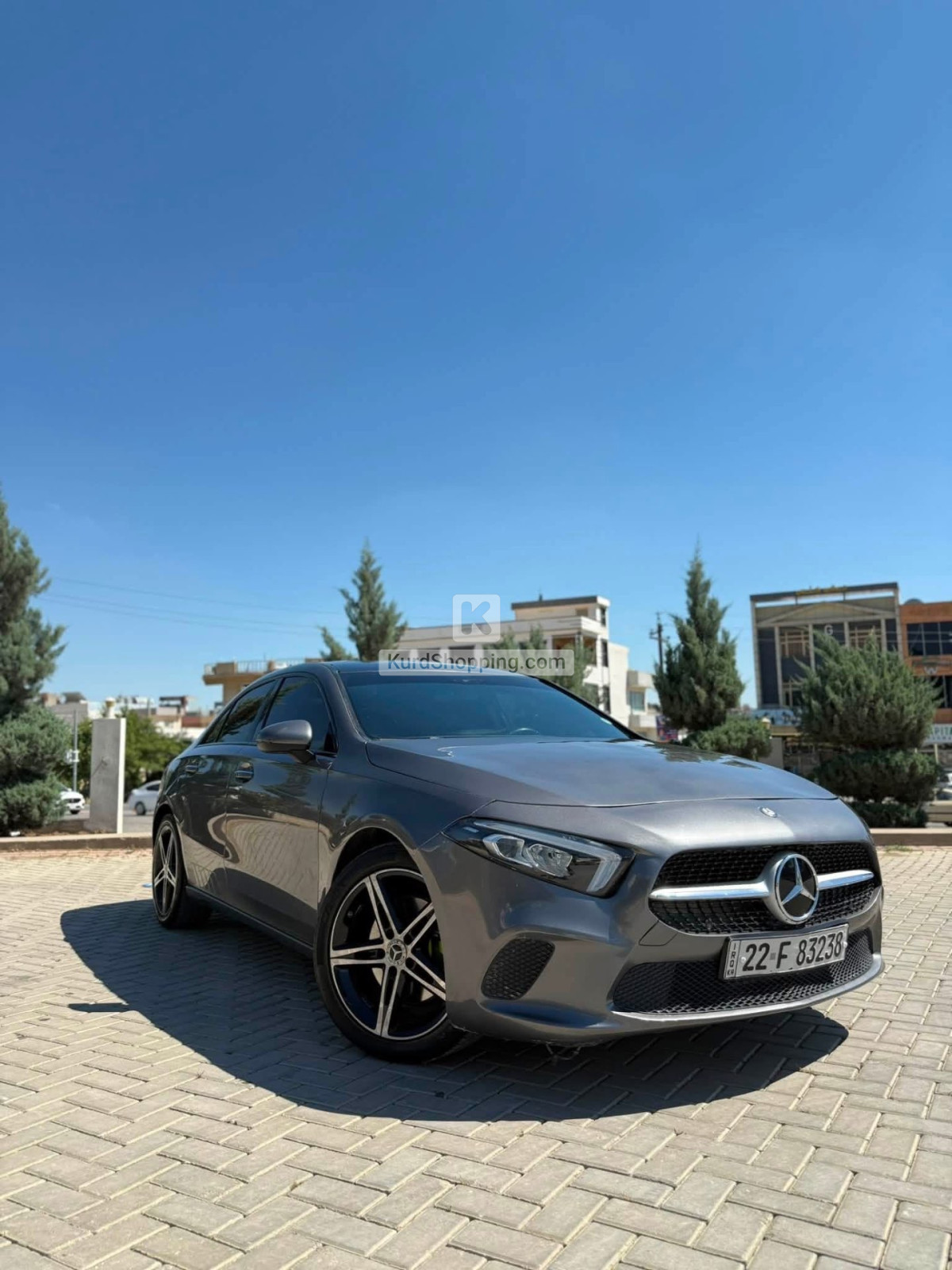 Mercedes Benz 220 2021
