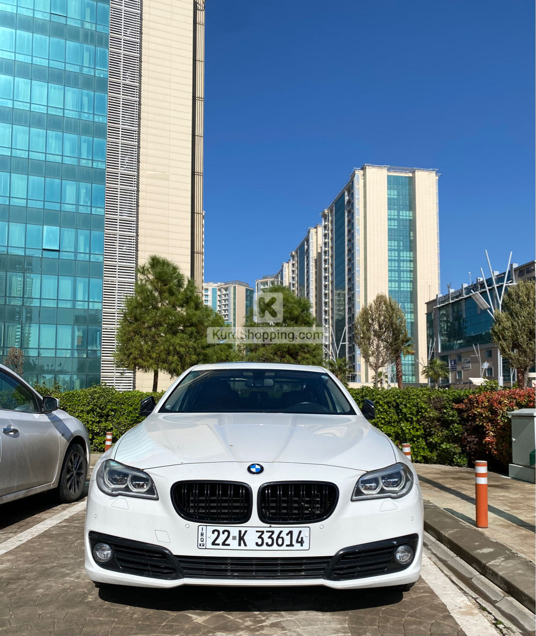 BMW 5 Series 2014