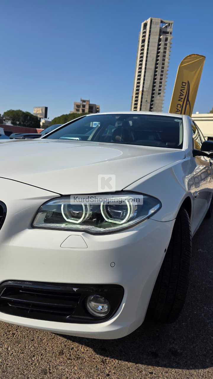 BMW 5 Series 2014