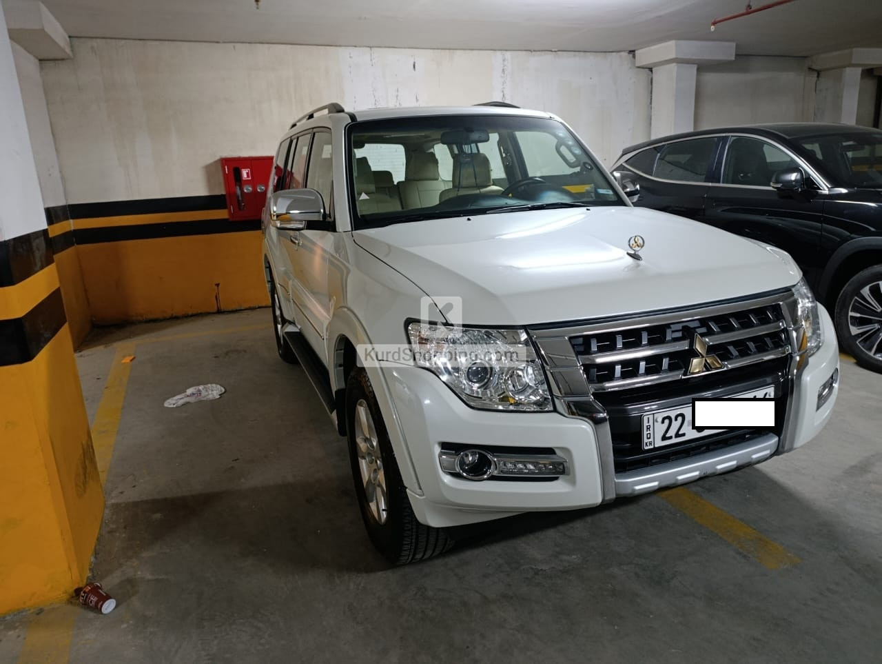 Mitsubishi Pajero 2019