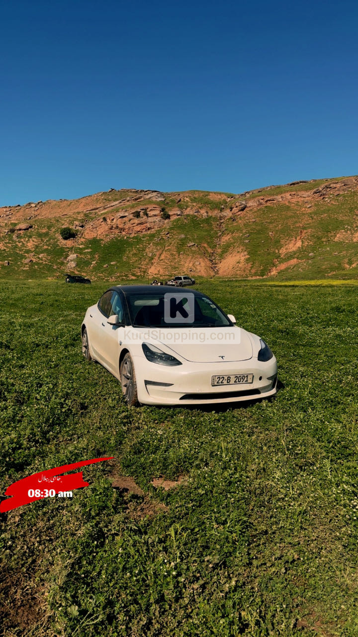 Tesla Model 3 2023