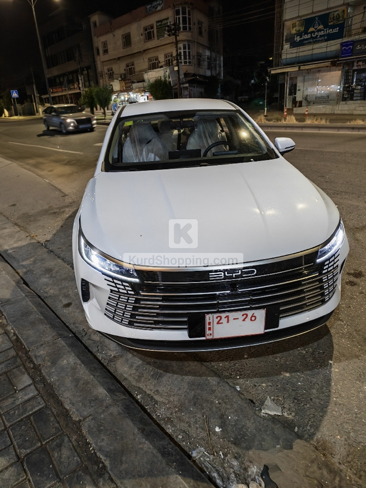 BYD DESTROYER 05 2026