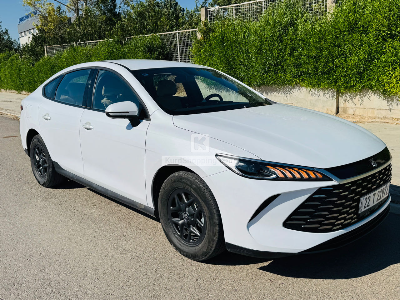 BYD QIN PLUS 2025
