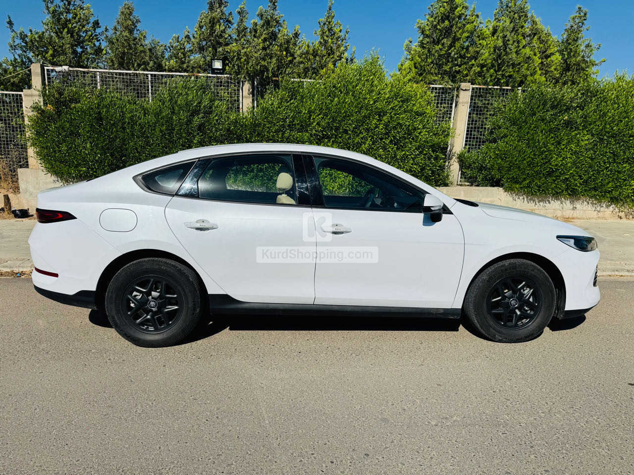BYD QIN PLUS 2025