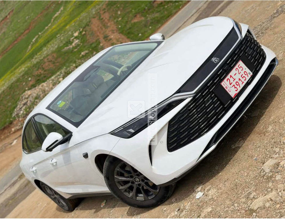 BYD QIN PLUS 2025