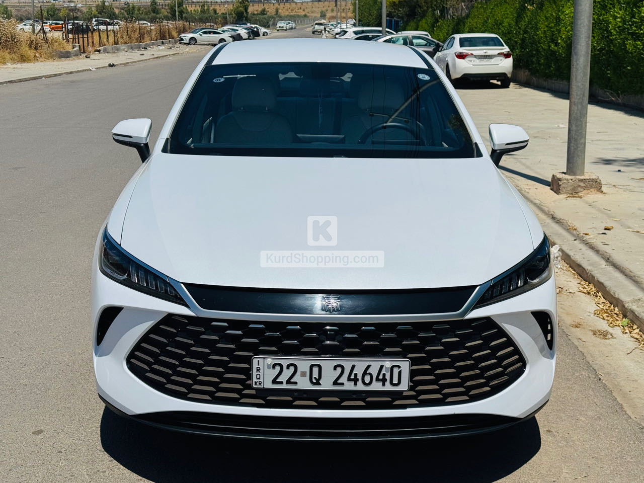 BYD QIN PLUS 2025