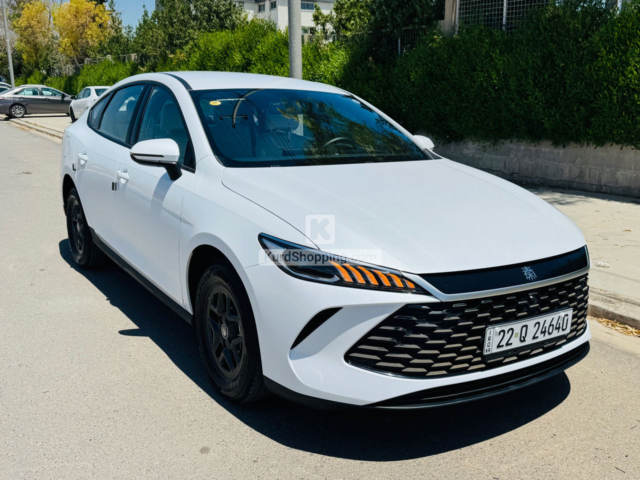 BYD QIN PLUS 2025
