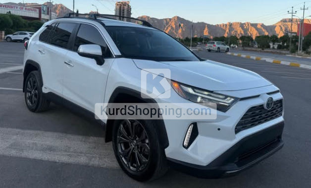 Toyota Rav4 2024