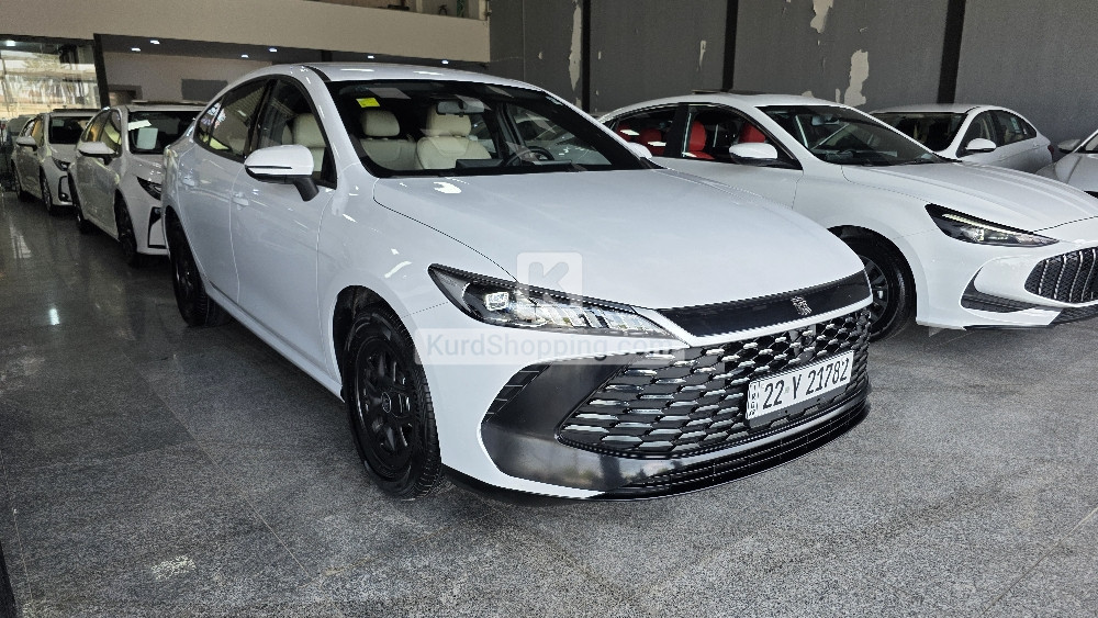 BYD QIN PLUS 2025