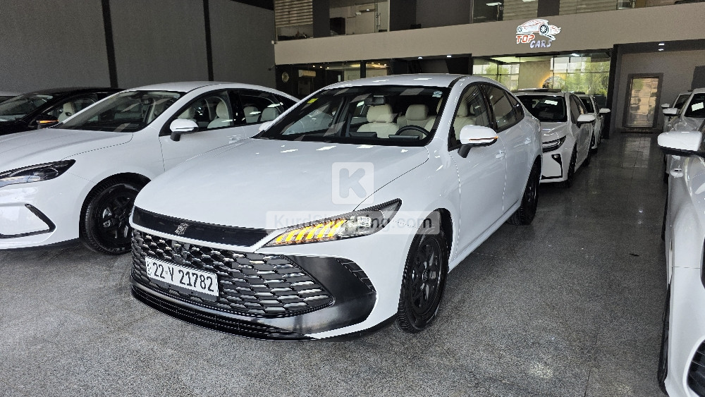 BYD QIN PLUS 2025