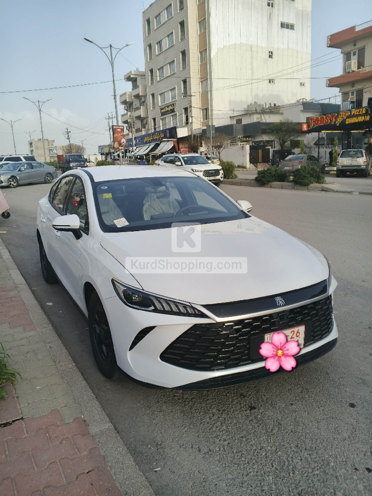 BYD QIN PLUS 2025