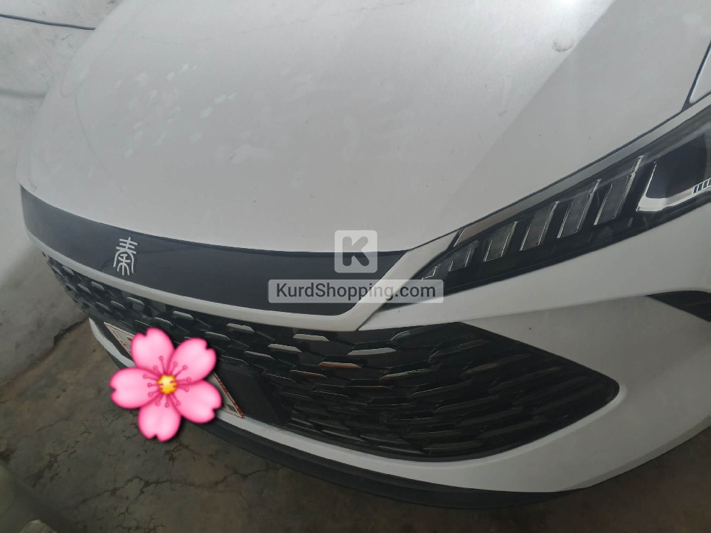 BYD QIN PLUS 2025