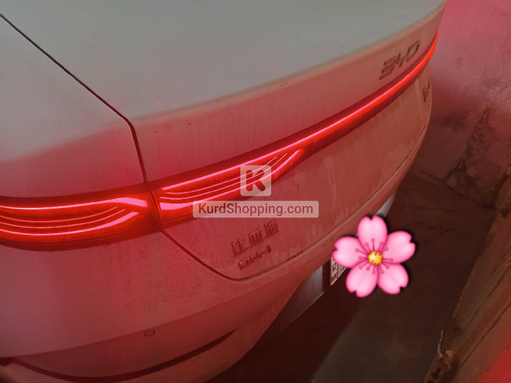 BYD QIN PLUS 2025