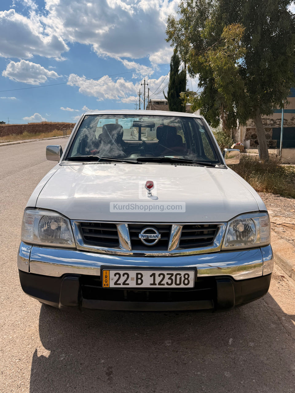 Nissan Pickup 2011