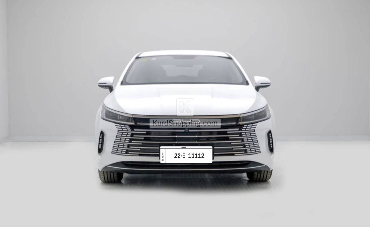 BYD DESTROYER 05 2025