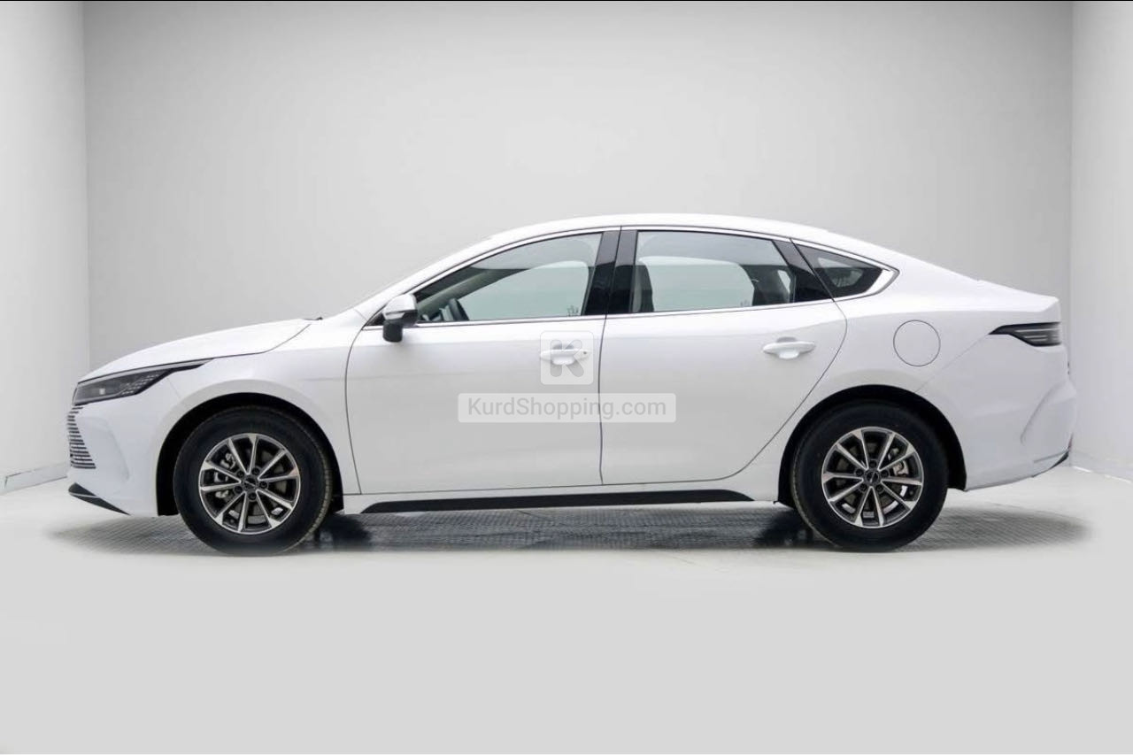 BYD DESTROYER 05 2025