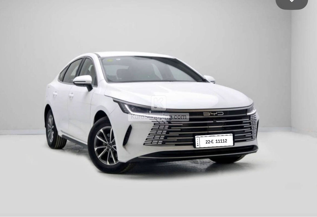 BYD DESTROYER 05 2025