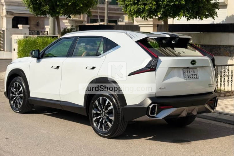 GAC Emkoo 2025