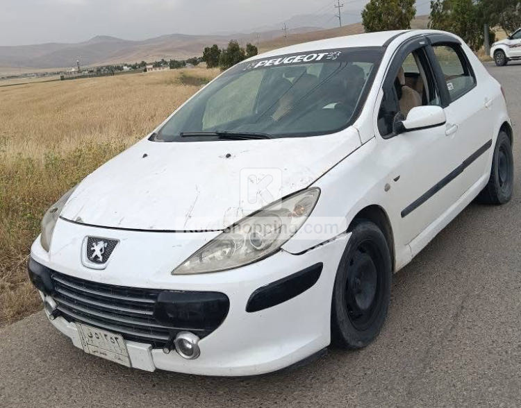 Peugeot 307 2004