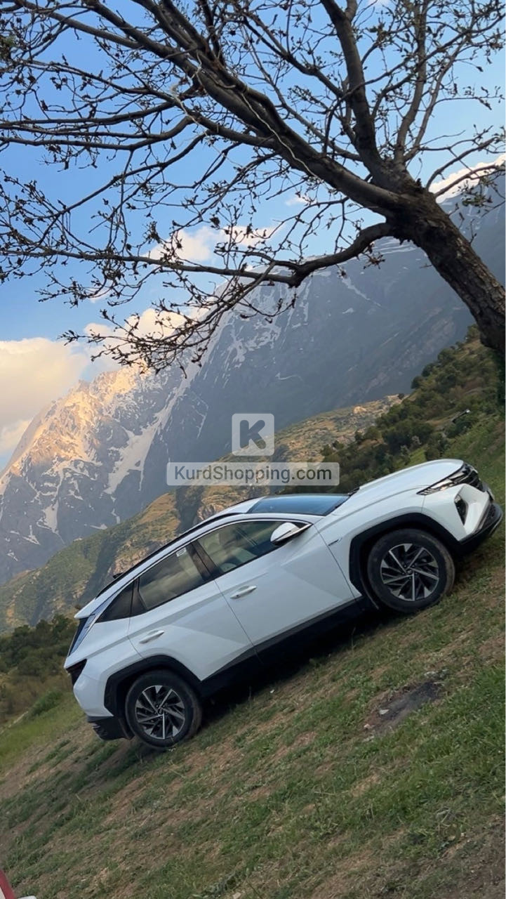 Hyundai Terracan 2023