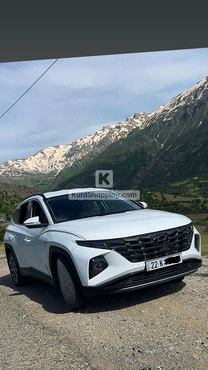 Hyundai Terracan 2023