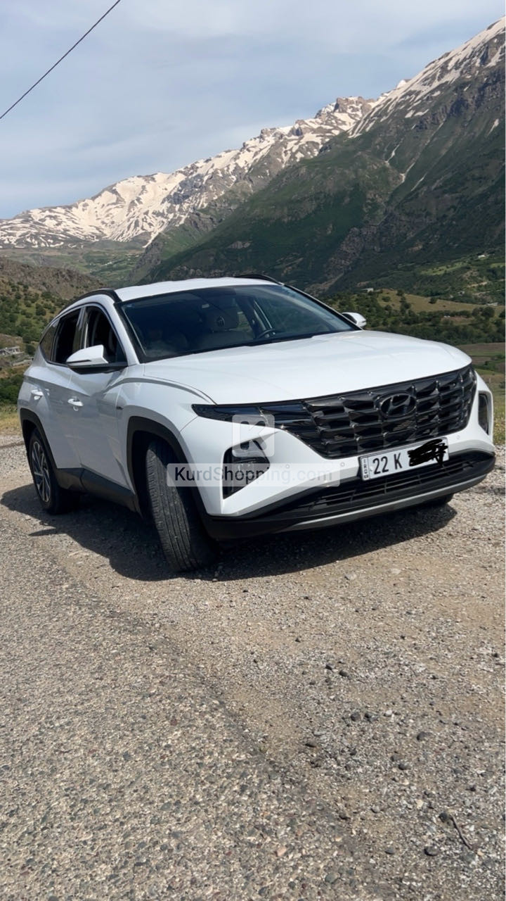 Hyundai Terracan 2023