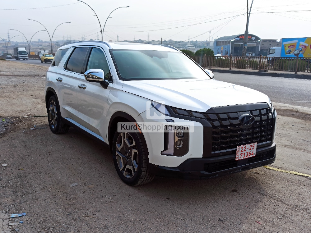 Hyundai Palisade 2023