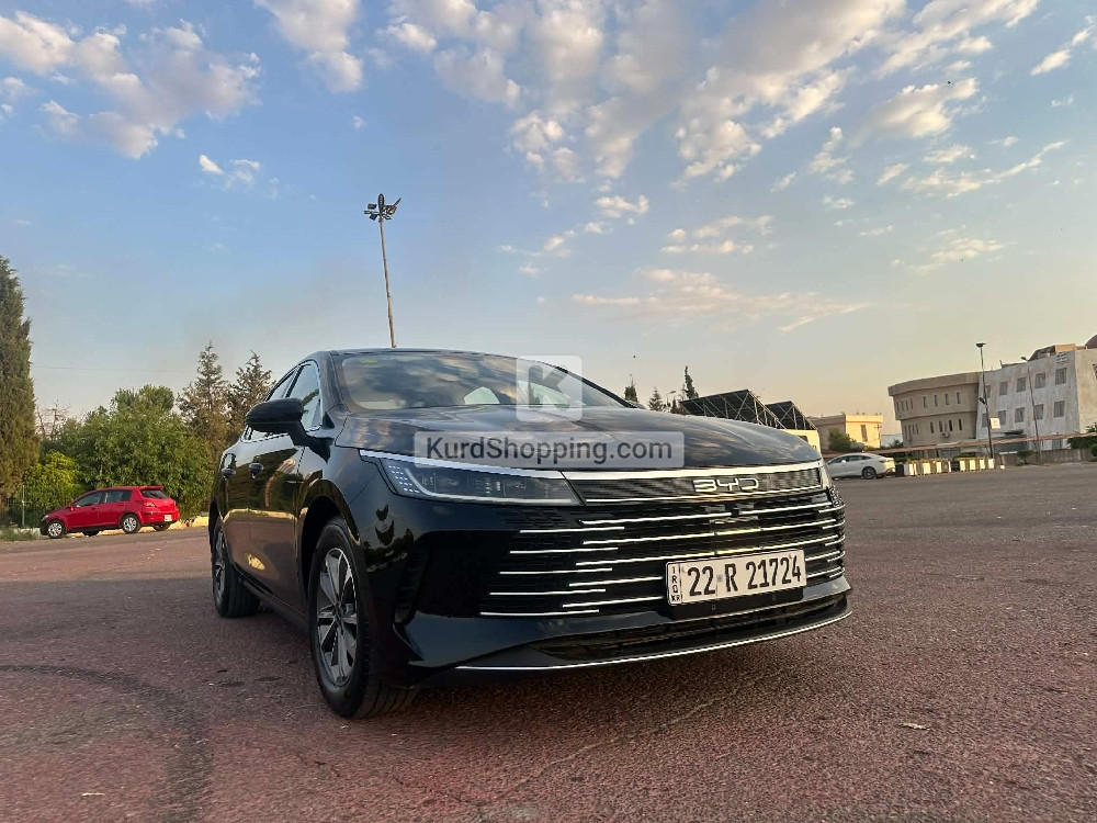 BYD DESTROYER 05 2025