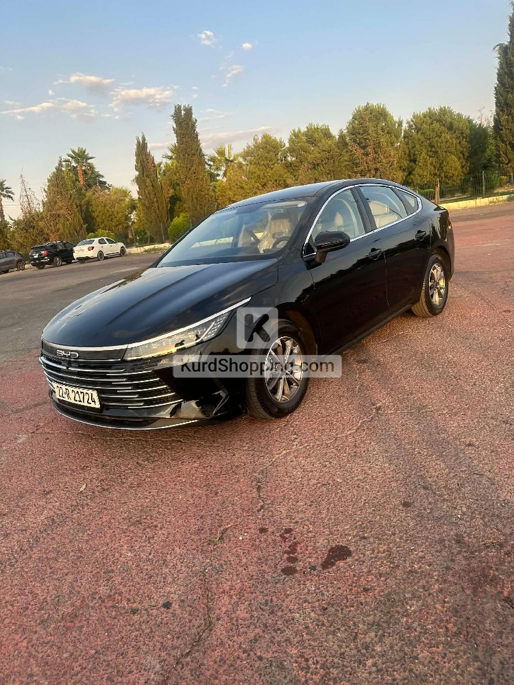 BYD DESTROYER 05 2025