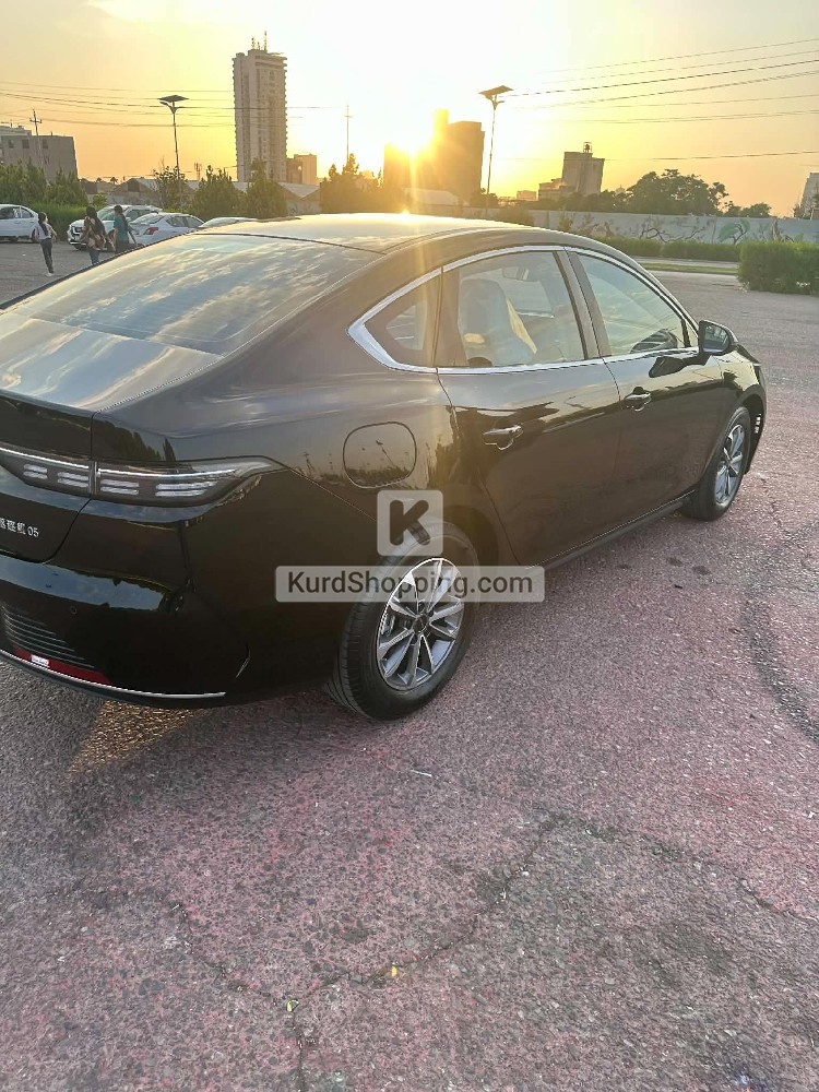 BYD DESTROYER 05 2025