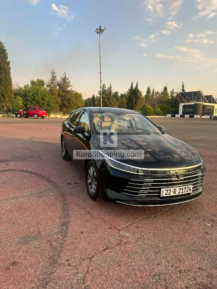 BYD DESTROYER 05 2025