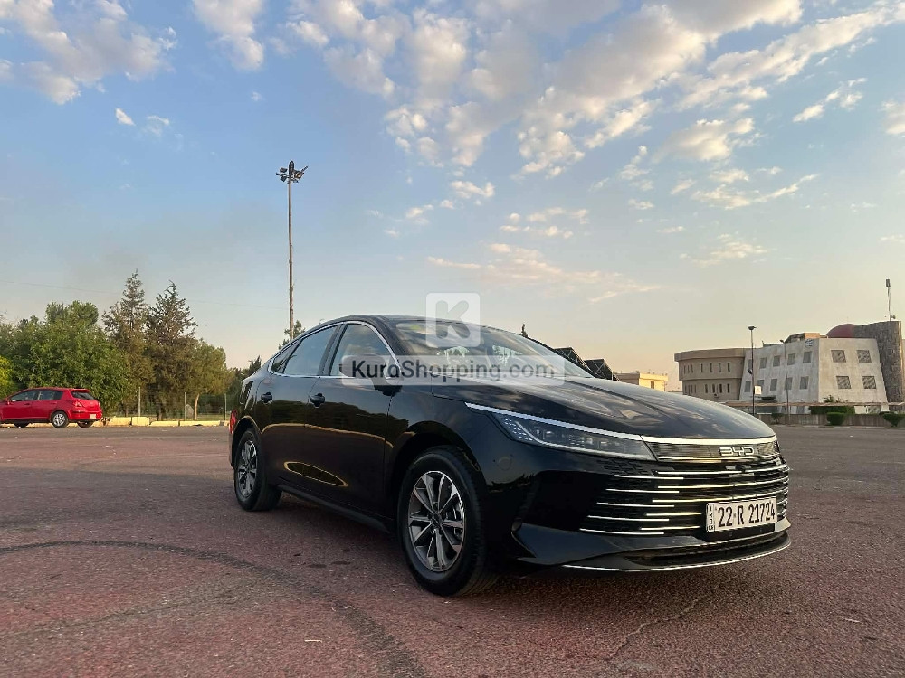 BYD DESTROYER 05 2025