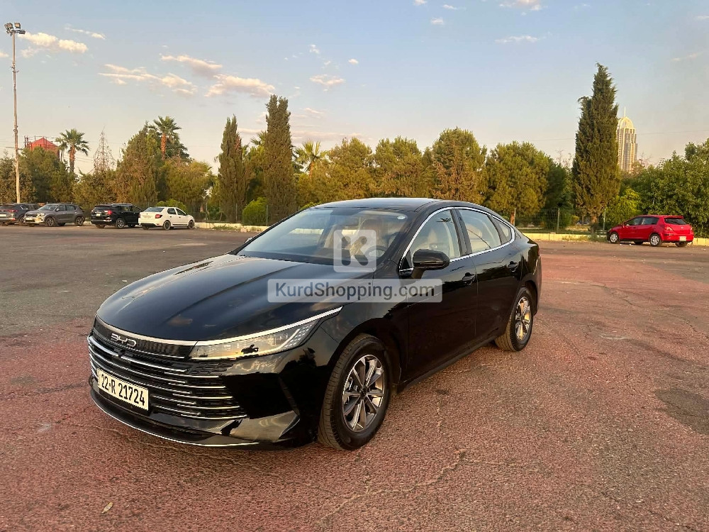 BYD DESTROYER 05 2025