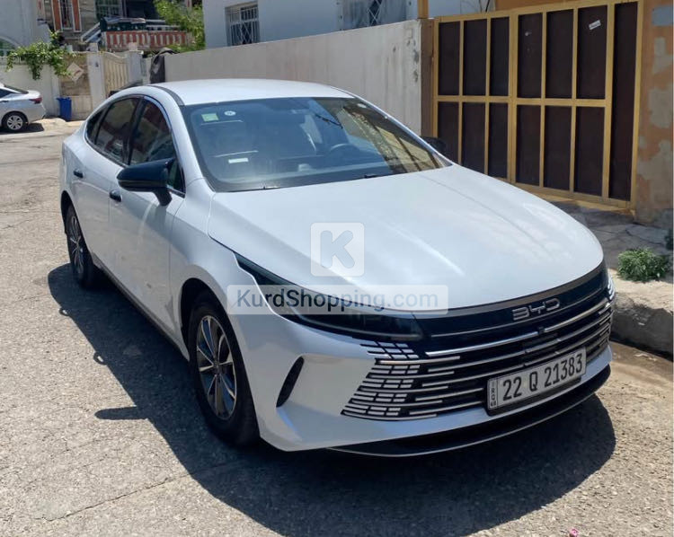 BYD DESTROYER 05 2025