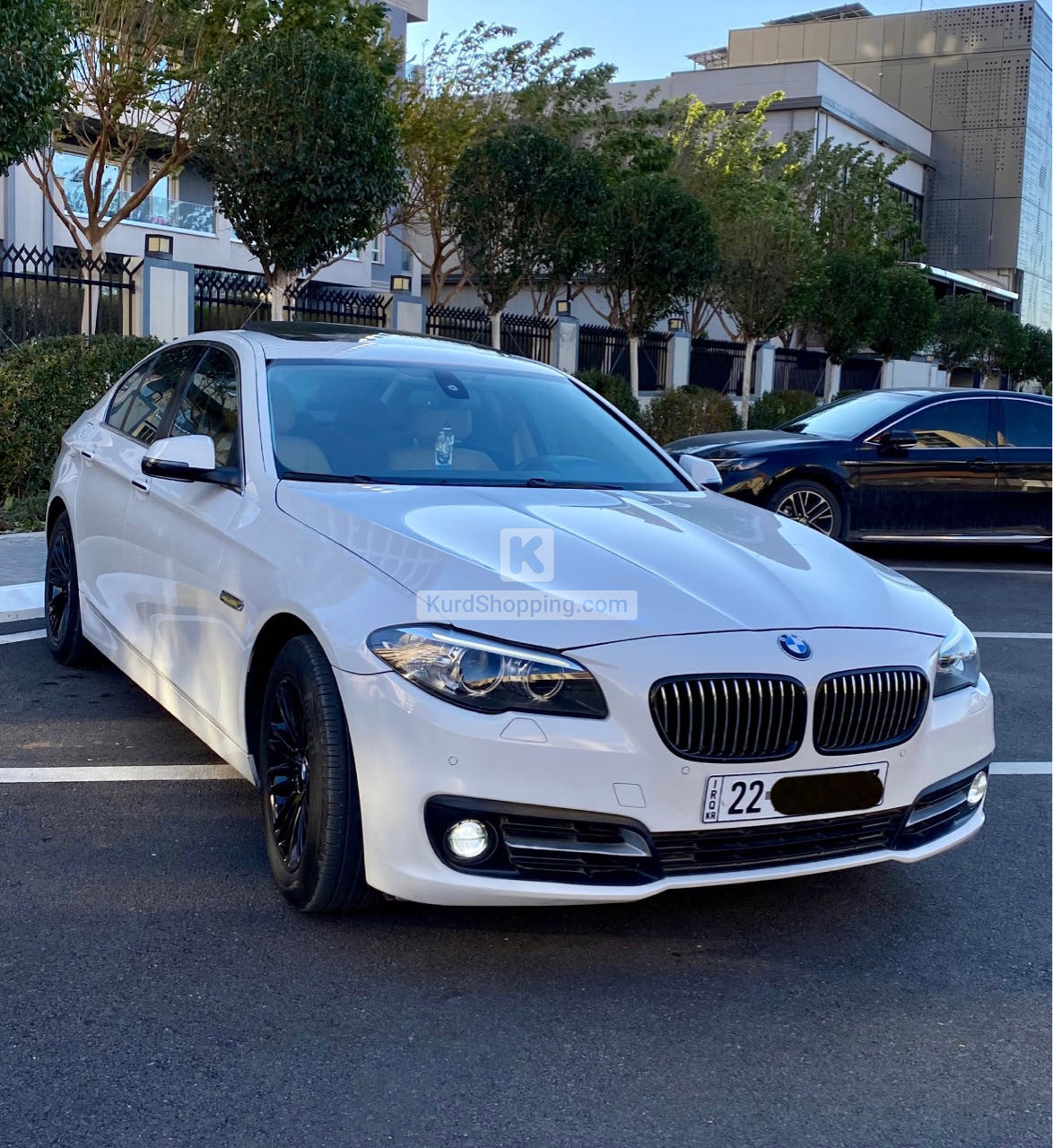BMW 5 Series 2016