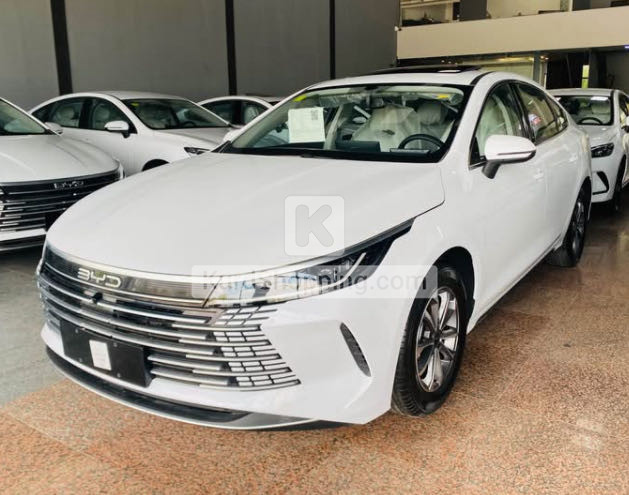 BYD DESTROYER 05 2025
